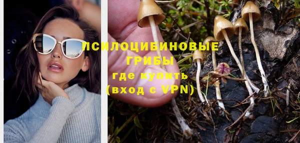 mix Алексеевка
