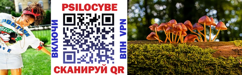 Псилоцибиновые грибы Psilocybe  Аткарск 